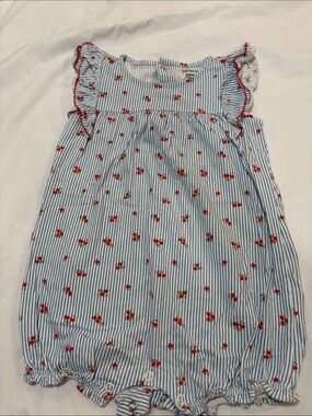 Carter's Blue & White Striped Romper with Red Floral Accents